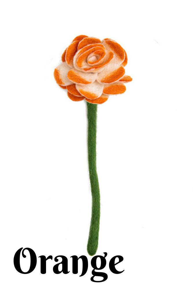 ranunculus orange