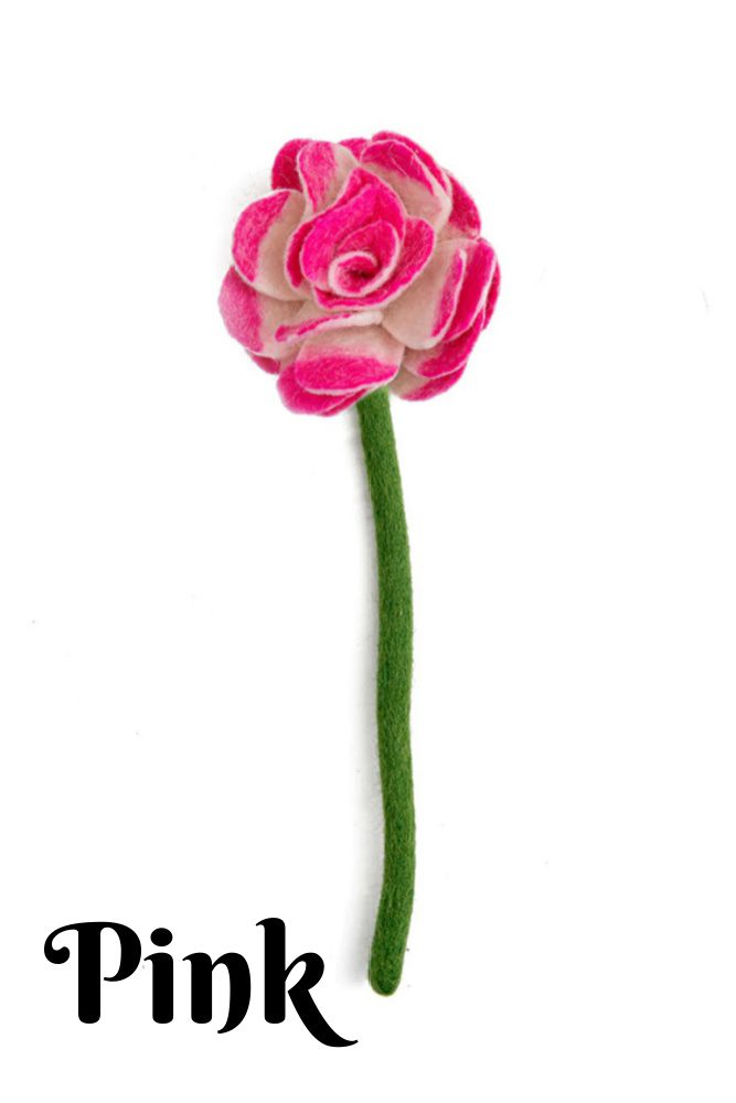 ranunculus pink