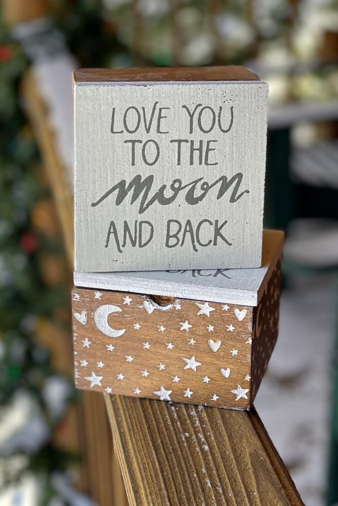 moon and back box